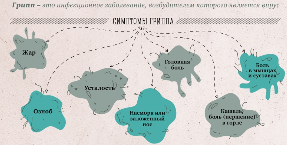Что такое грипп и какова его опасность?